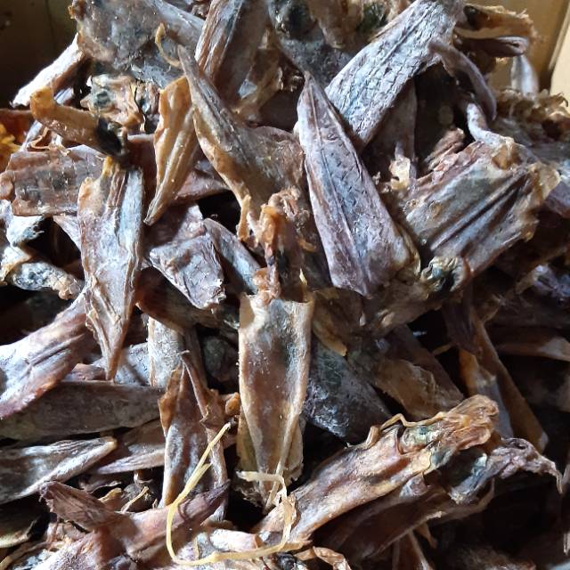 

Cumi Tawar murah