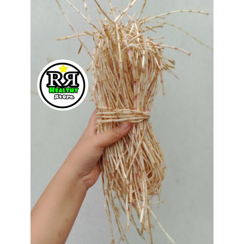 

Akar alang alang segar dan super bersih 1kg ilalang