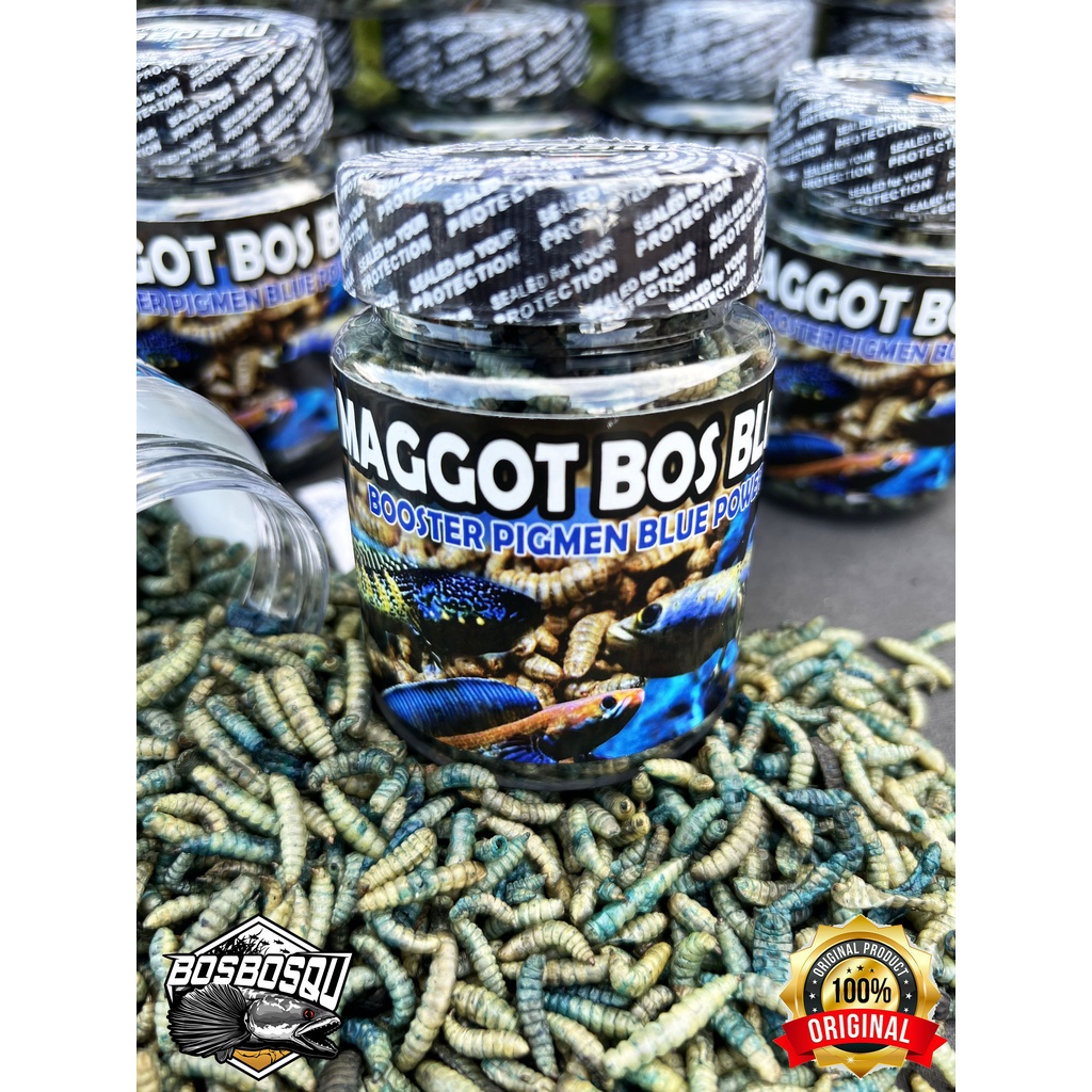 MAGGOT BLUE (BIRU) @BOS BOS QU GRADE A+ FREE STIKER 30 GRAM