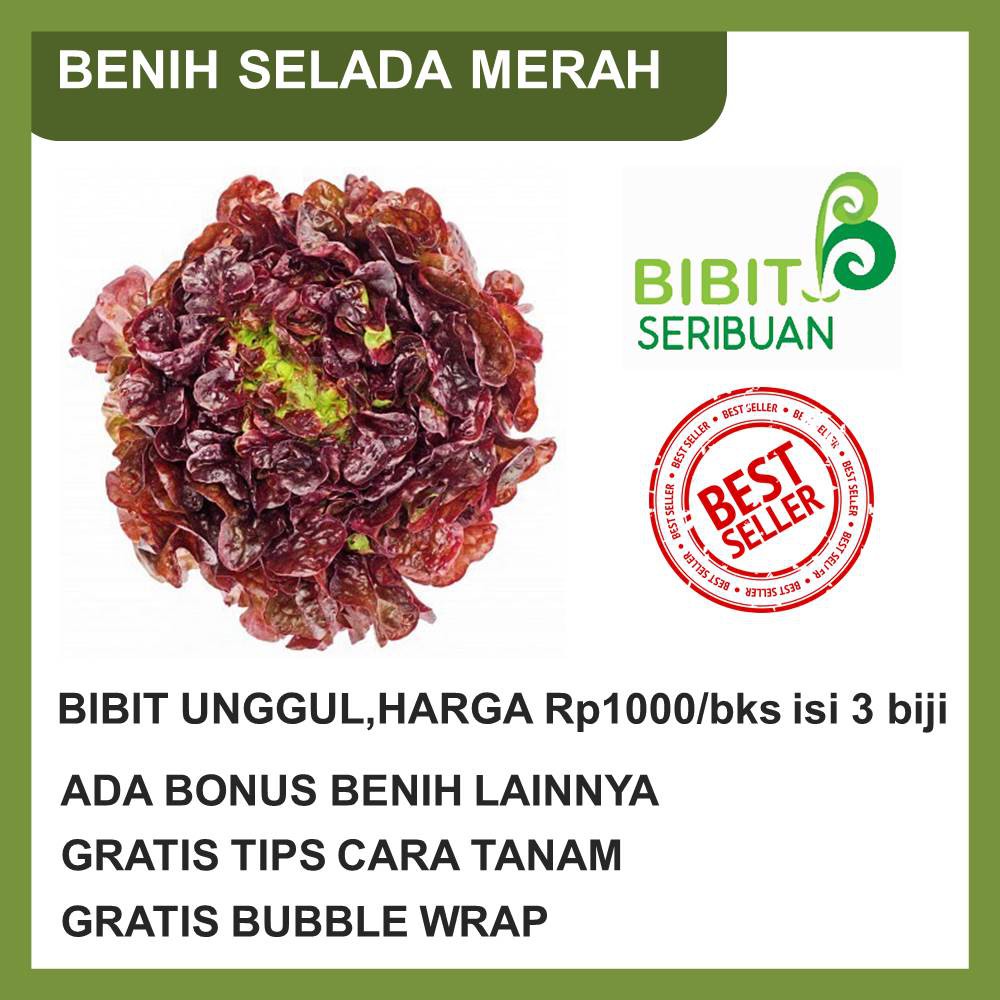 BENIH SELADA MERAH
