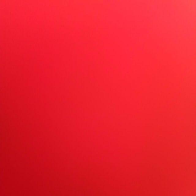 40 Bibit Ubi Cilembu Manis *_$