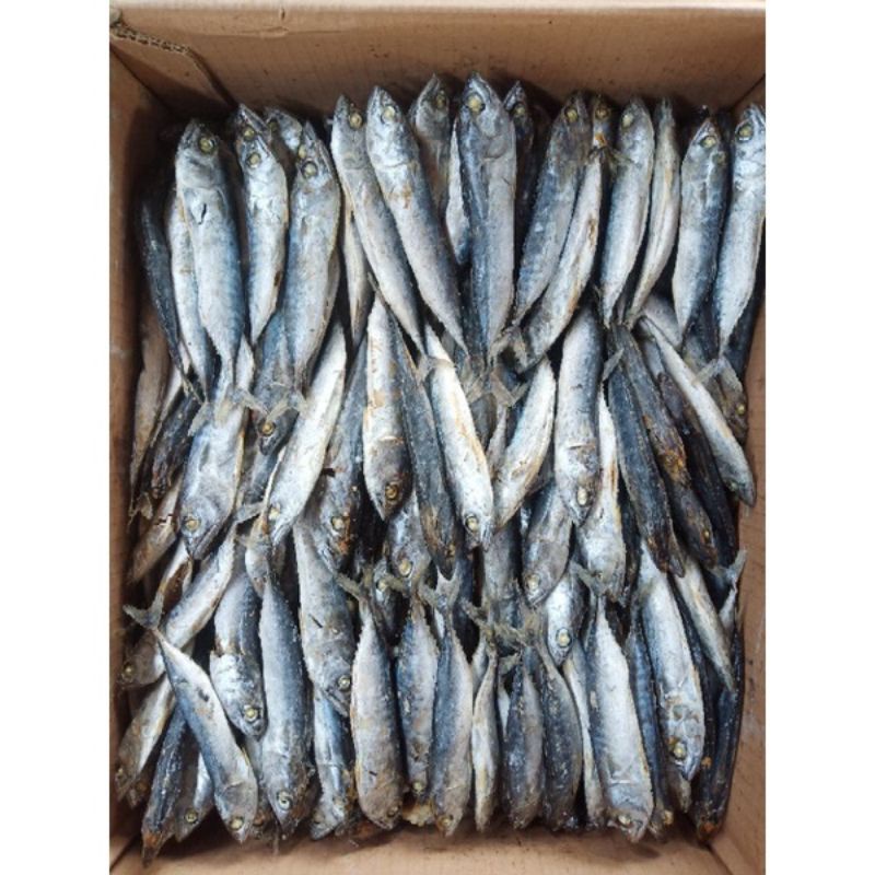 IKAN ASIN TONGKOL KERING
