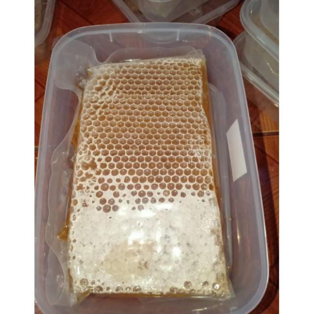 

MADU SARANG || MADU SARANG MELIFORA