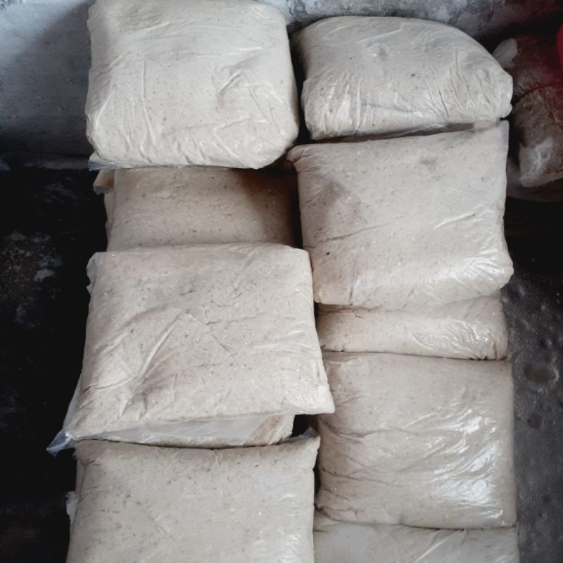 

ikan giling kakap biasa