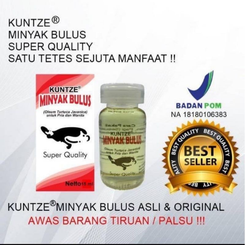 MINYAK BULUS KUNTZE BPOM super Quality