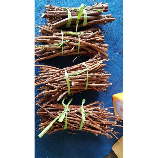 Cutting anggur lokal isabel 1 paket isi 40