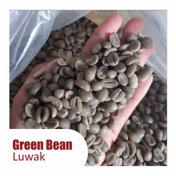 

Arabica Luwak Gayo/Luwak Liar Gayo
