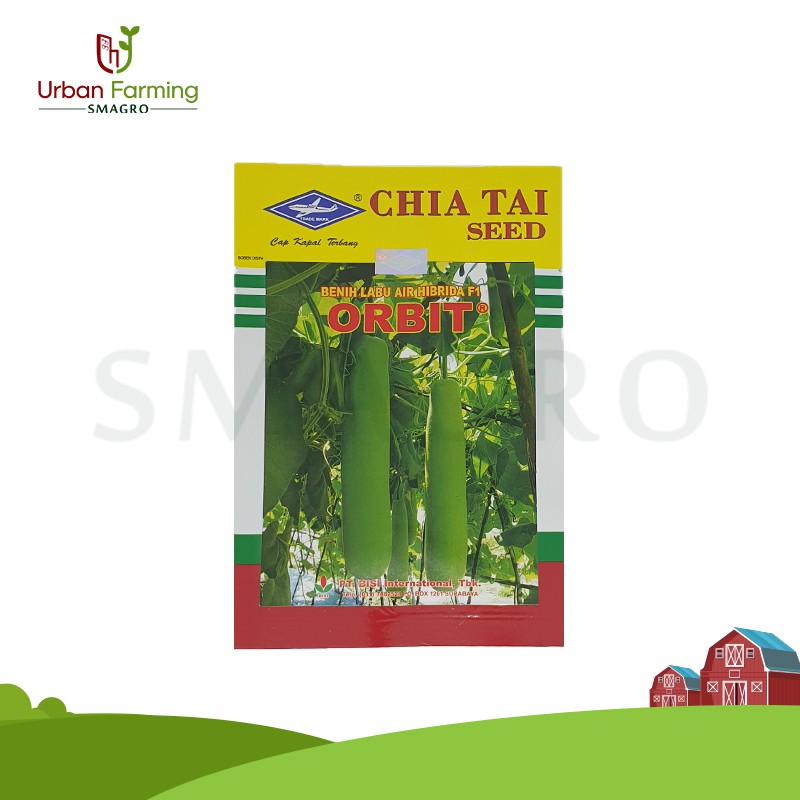 Benih Labu Air ORBIT F1 10 Gram Labu Sayur
