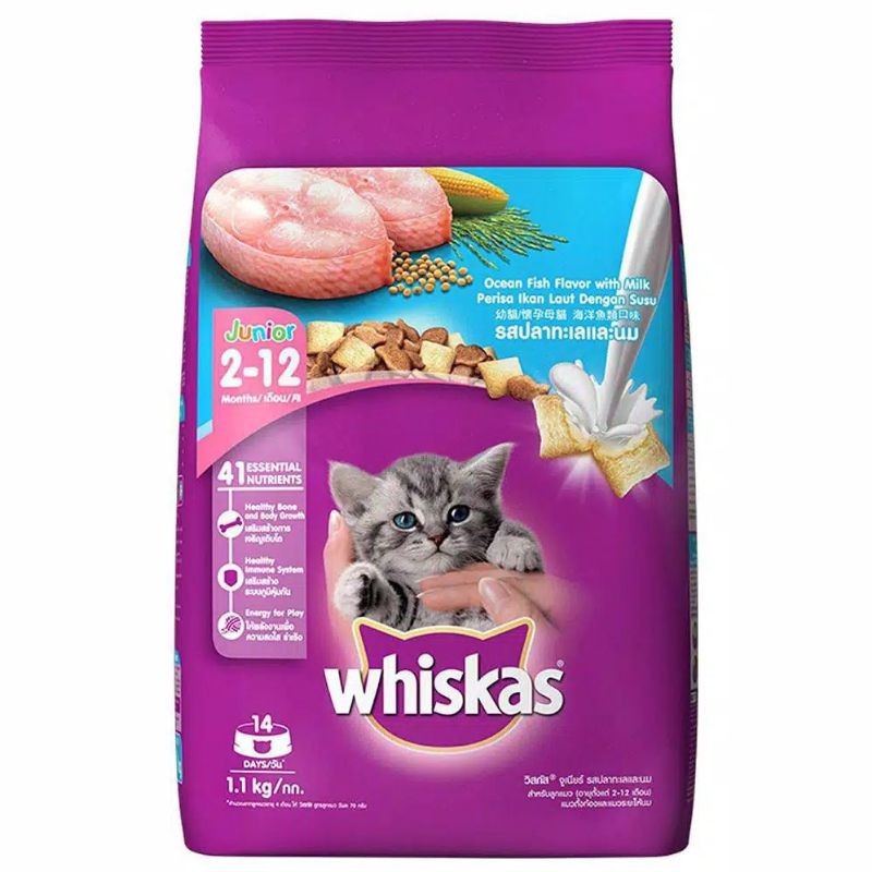 Makanan kucing WHISKAS junior  1.1 KG - PETSHOP PEKANBARU