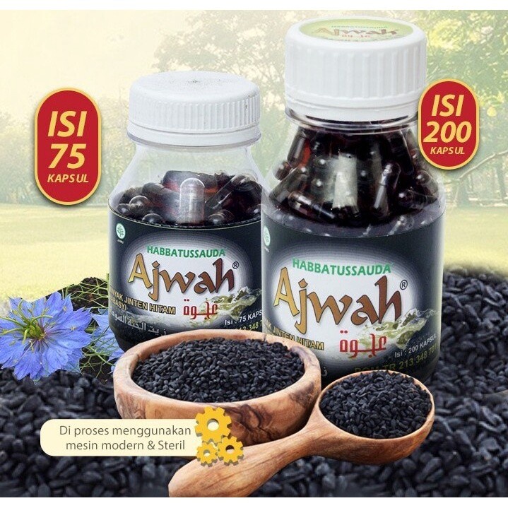 KAPSUL MINYAK HABBATUSSAUDA AJWAH isi 75 Kpsl Jinten Hitam Black Seed Oil Jintan Ireng Mirip Kurma A