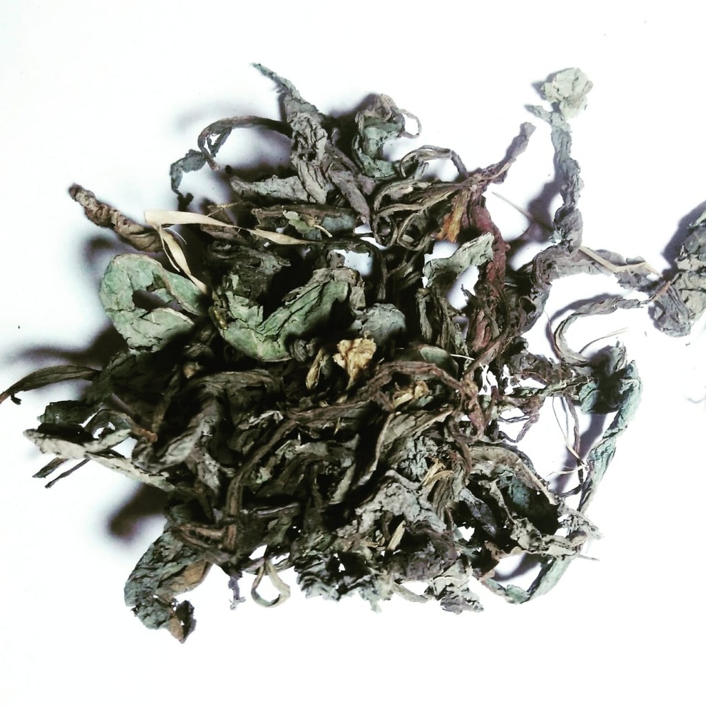 

DAUN TEMPUYUNG KERING 1KG