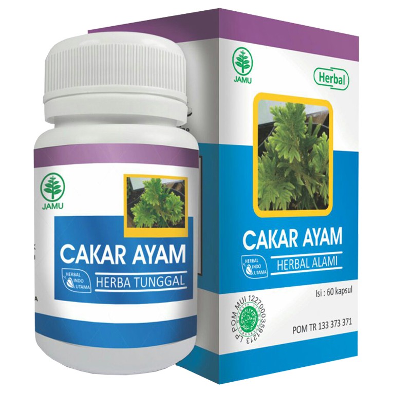 CAKAR AYAM HIU Herbal Batuk Kronis