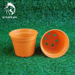  Pot  Mini  Pot  Sekulen Pot  Plastik Pot  Unik  Pot  Tanaman Pot  