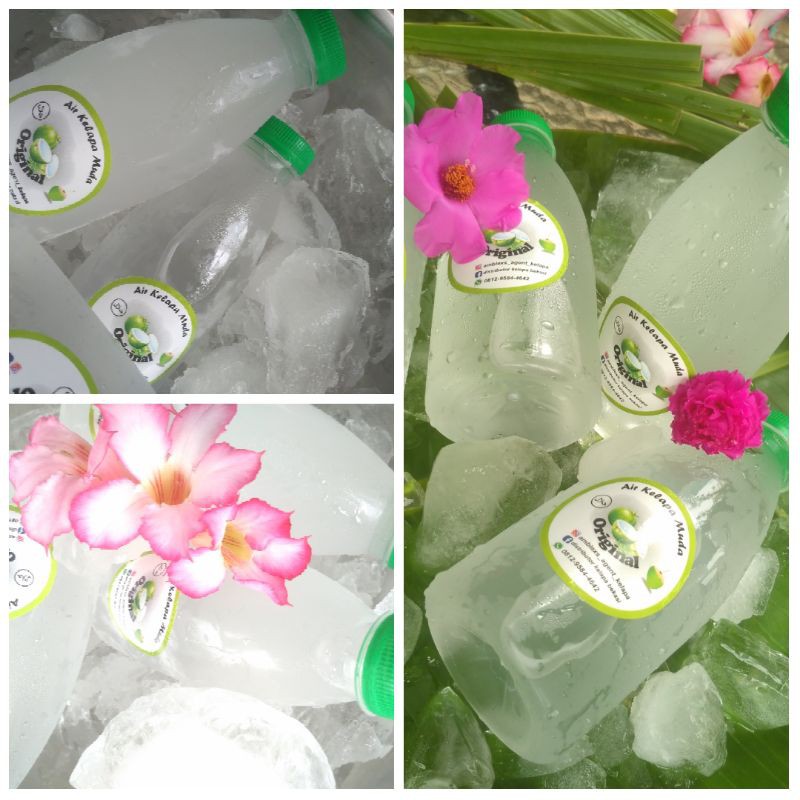 

air kelapa muda buy 10btl free 1btl