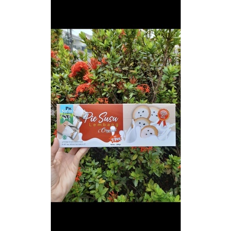

PIE SUSU LEMBANG ORIGINAL . Jajanan Nusantara PIE SUSU