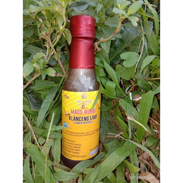

madu Klanceng madu Klanceng murni madu Klanceng Bambu madu Klanceng liar madu trigona madu 330gram