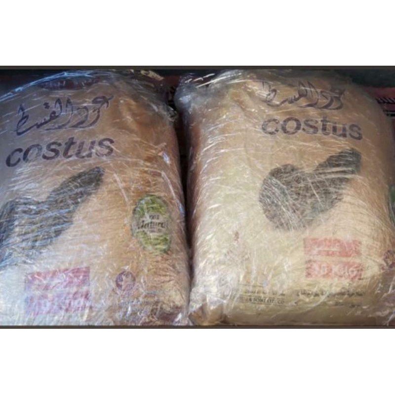 

Qisthul hindi costus