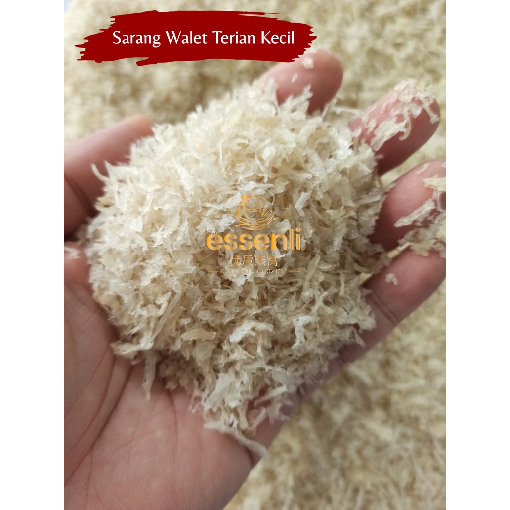 PROMO Sarang Burung Walet (Birdnest/Yenwo)