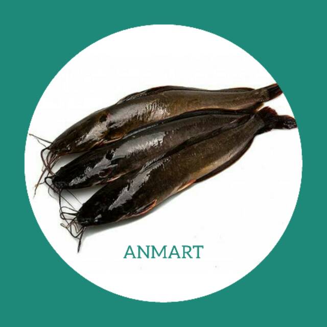 

ANMART | 1KG Ikan Lele Konsumsi | Ikan Segar | Sayur Online