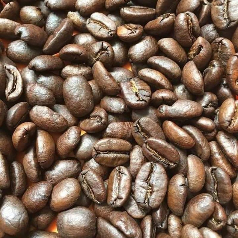 

rosbean luwak arabica