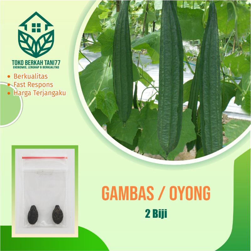 BENIH SAYURAN UNGGUL TERLENGKAP TERJANGKAU BIBIT KUBIS TOMAT SAWI TERONG CABE BUNCIS BAYAM KANGKUNG-Oyong / gambas