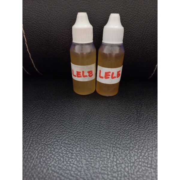 esen ikan Lele lomba dn mujaer media cacing bunda Haup