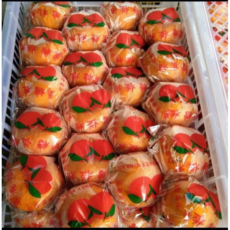 

Jeruk ponkam mandarin per 1 box