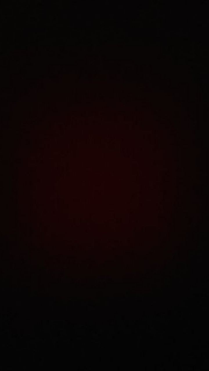 Tanaman Hias Calathea Drag Star Tanaman Calathea Drakstar