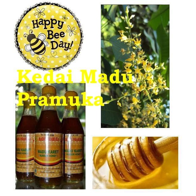 

MADU PRAMUKA MADU KARET 350 ML - MMD1818