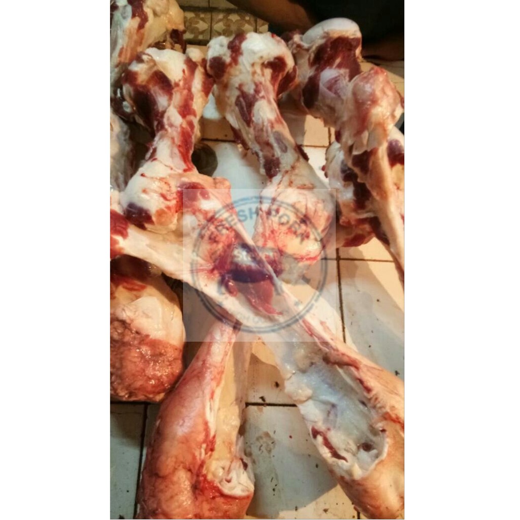 

Tulang Sumsum Sapi ( Fresh Beef Bone )