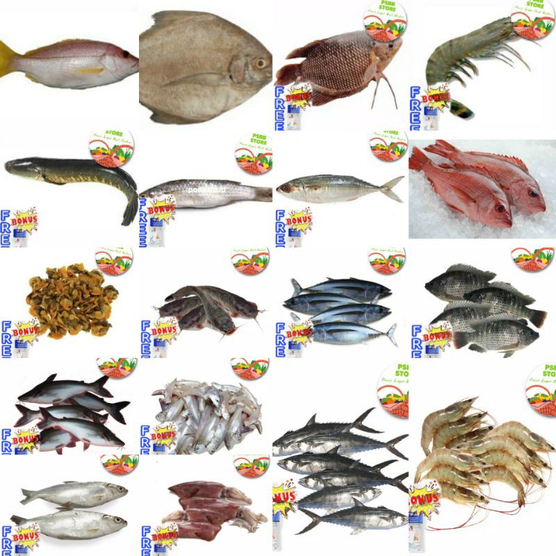 

PASAR GUBENG - Ikan Segar Fresh Pasar Online Sby
