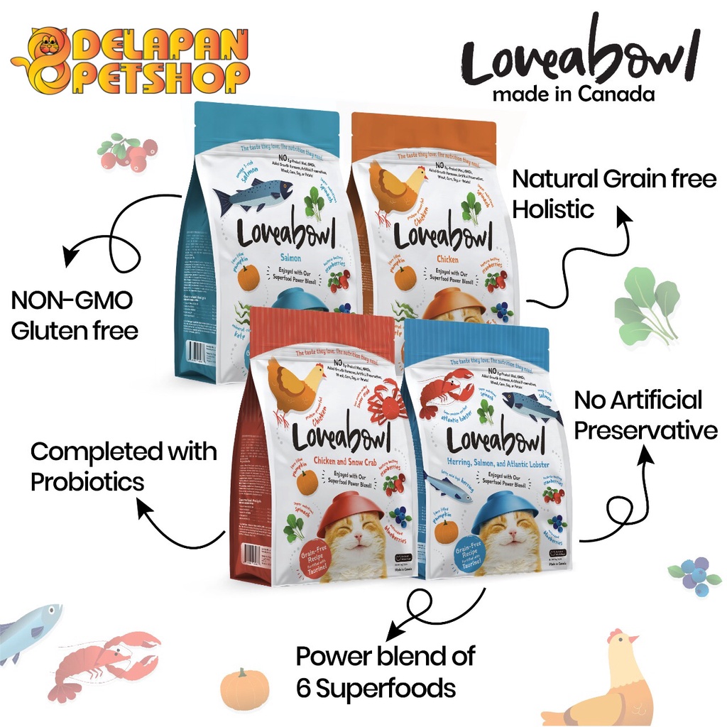 Loveabowl Holistic Grain Free &amp; Gluten Free Dry Cat Food for All Life Stages 1 Kg Made in Canada