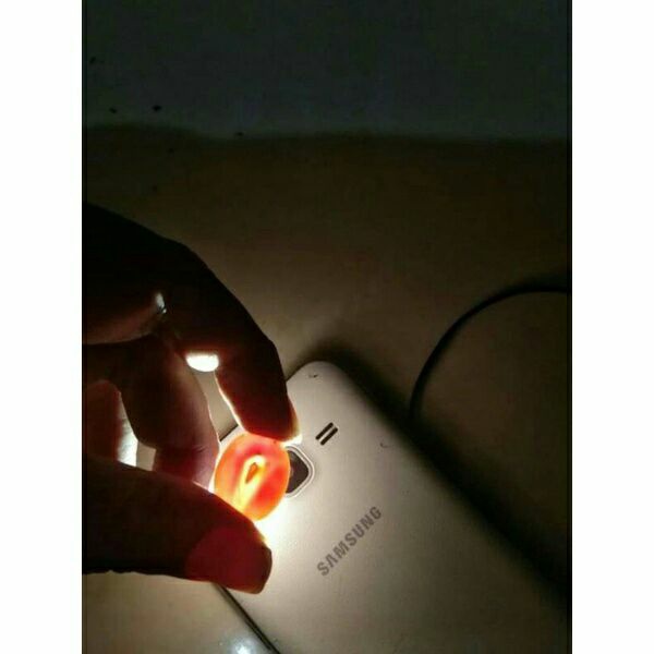 Batu Akik Mustika Kantong Semar