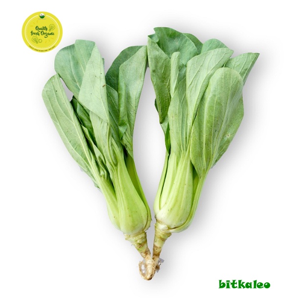 

Pak Choy Organik 200 gr (PO)