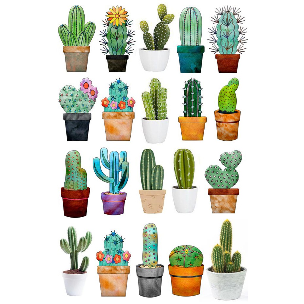 

Stiker kaktus ukuran A4