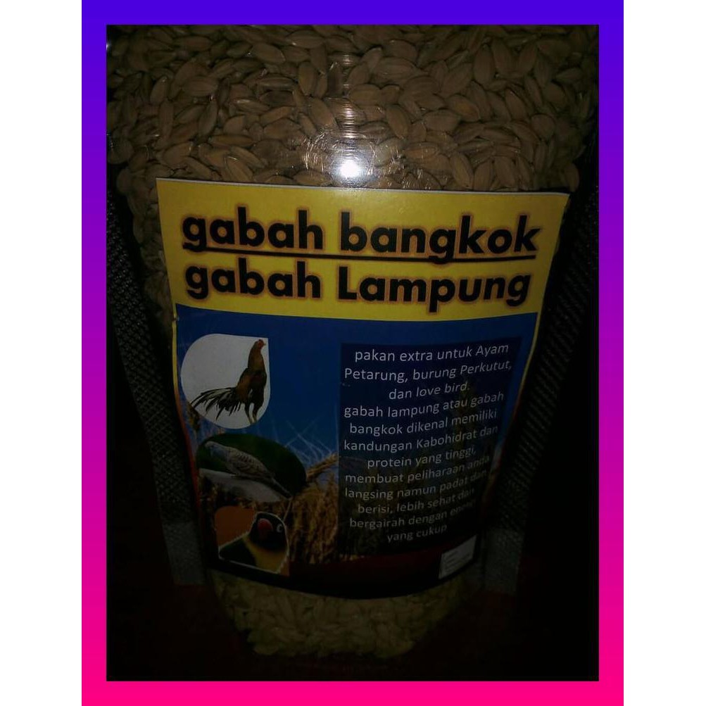 GABAH LAMPUNG/ LOVE BIRD /PERKUTUT/AYAM DLL