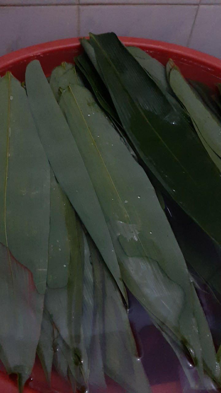 100 Lembar Daun Bambu Bungkus Bacang Bakcang