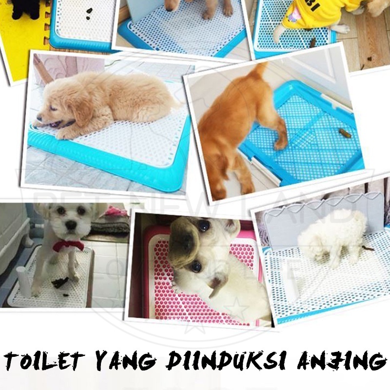 Pet Toilet Anjing Dog Training Potty Pad Pee Poop Training Pad Tray