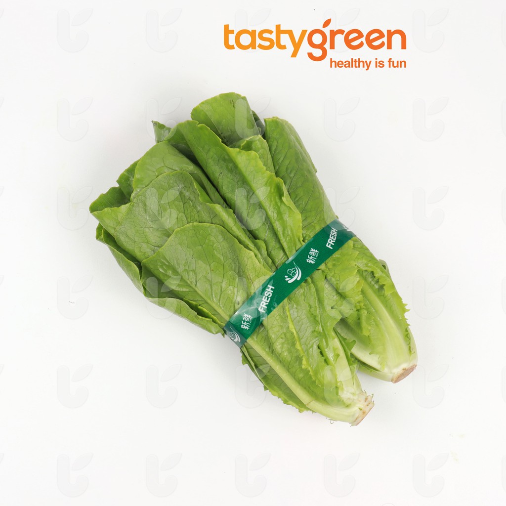 

Tasty Green Lettuce Romaine 2 pcs