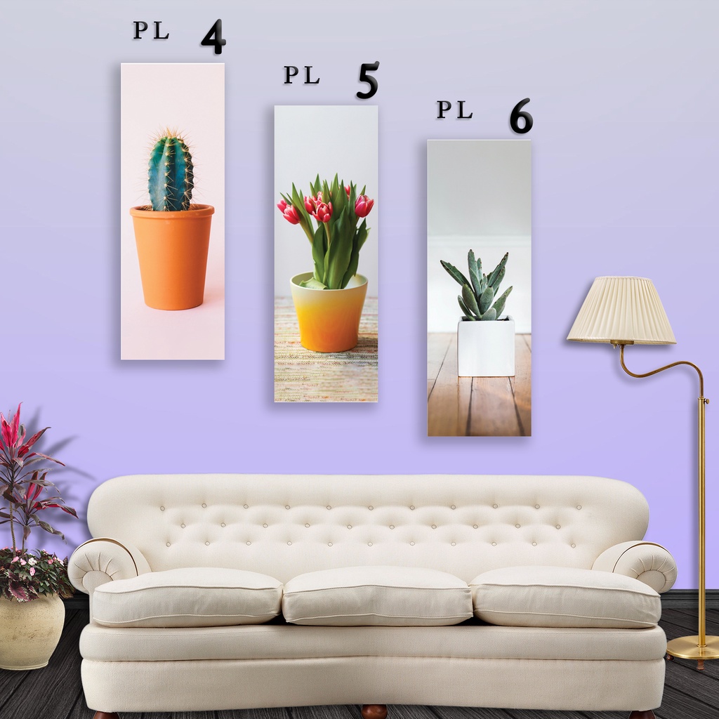 Wall decor - hiasan dinding rumah - Walldecor aesthetic plants tanaman kaktus murah