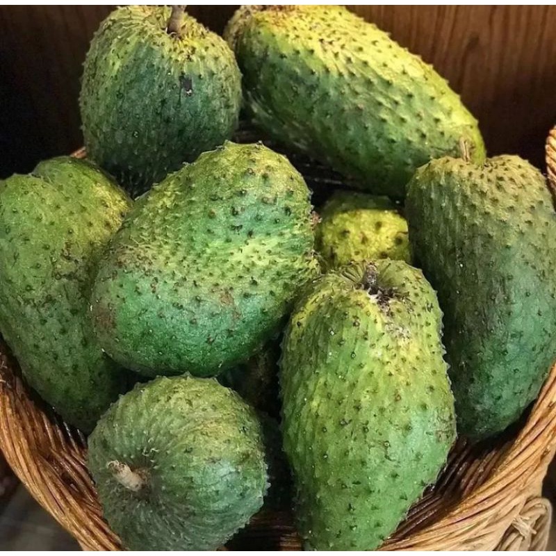 

BUAH SIRSAK BESAR 1 BUAH FRESH