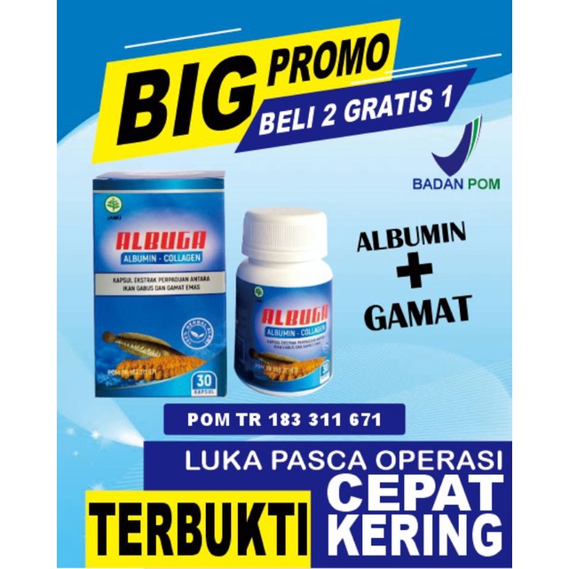 ALBUGA KAPSUL EKSTRAK ALBUMIN DAN GAMAT Beli 2 GRATIS 1| Ekstrak Ikan Gabus dan Gamat