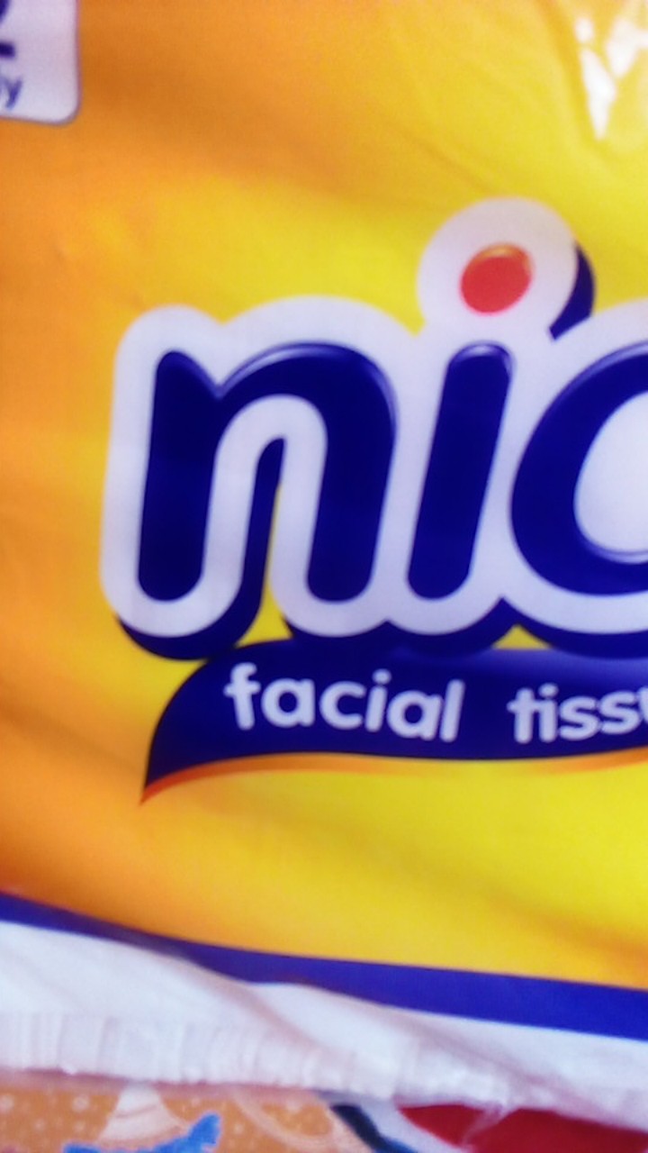 Tissue Nice 2ply 900gr - Susudot