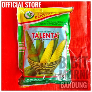 Benih Jagung manis TALENTA 250 gram  Shopee Indonesia