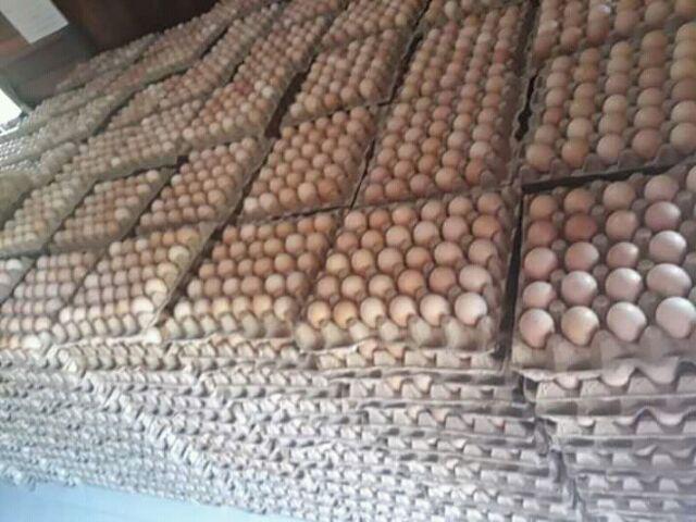 Meat Grinder Manual Penggiling Daging Sayuran Buah Pasta Meat Mincer