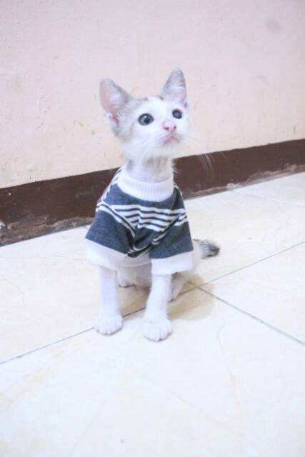 Kaos strip putih abu lengan panjang untuk kucing dan anjing size S M L XL