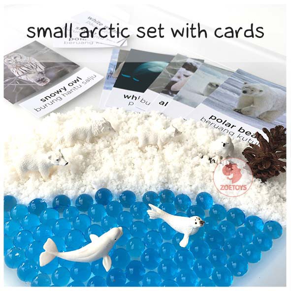 Zoetoys Sensory Play Small Arctic Antartica &amp; Arctic Set with Flashcards | Mainan Edukasi Anak Figurine Box Snow Salju | Cari Bingkisan Hampers Kado