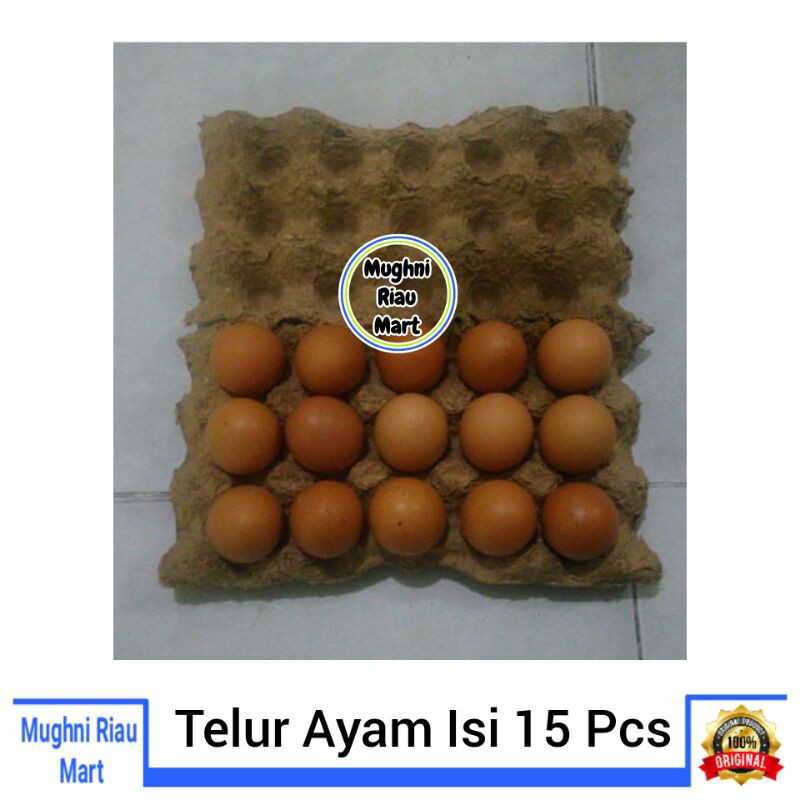 

Telur Ayam Isi 15 Pcs