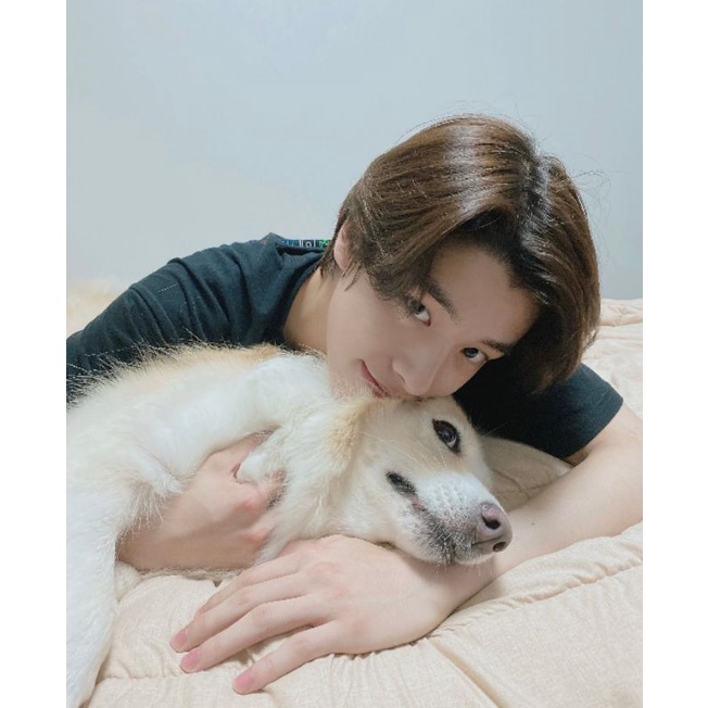 JAJAN BUKU HELLO.PUPPY