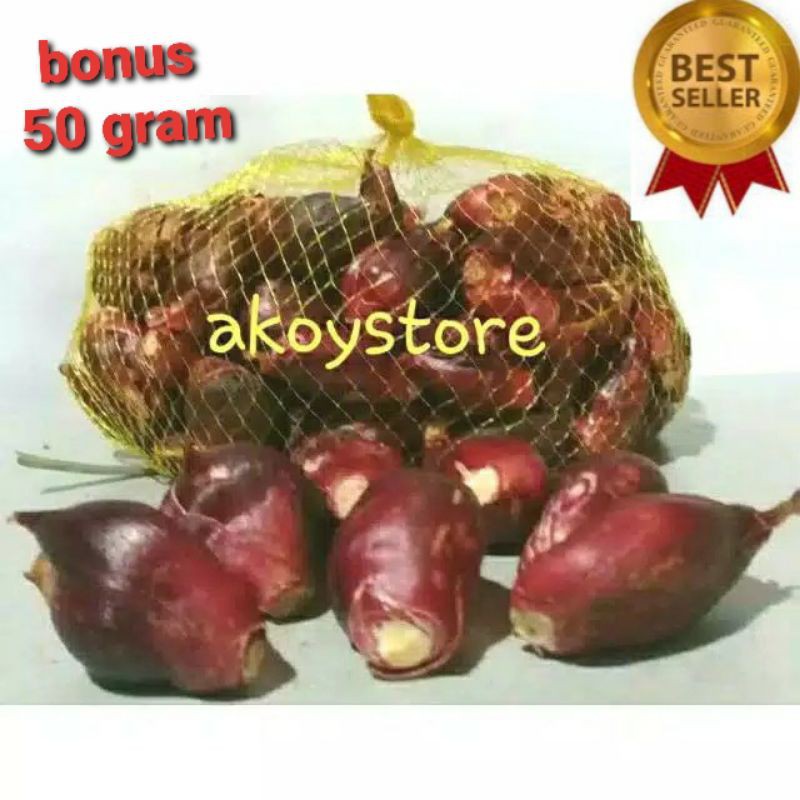 Bawang dayak segar 1kg